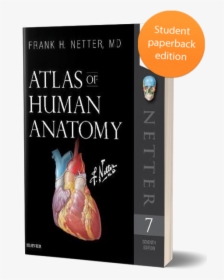 9780323393225 Netter Student - Atlas Of Human Anatomy Netter 7th, HD Png Download, Transparent PNG