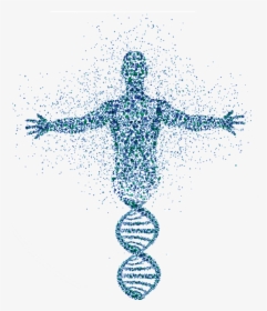 Body Made Of Atoms, HD Png Download, Transparent PNG