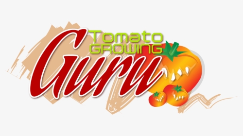 Tomato Growing Guru , Png Download, Transparent Png, Transparent PNG