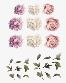 Large Peony Wall Decal, HD Png Download, Transparent PNG