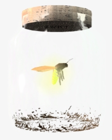 Elder Scrolls - Skyrim Firefly In A Jar, HD Png Download, Transparent PNG