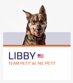 Libby - Dog Catches Something, HD Png Download, Transparent PNG