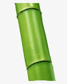 Bamboo Png - Buluh Png, Transparent Png, Transparent PNG