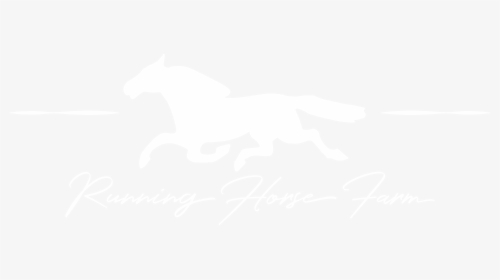 Running Horse Farm - Jhu Logo White, HD Png Download, Transparent PNG