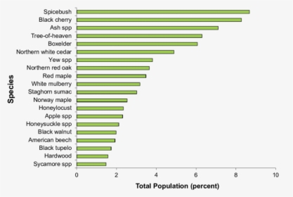 Tree Of Heaven Population, HD Png Download, Transparent PNG