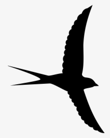 Bird Silhouette Png Clipart Image Transparent Png , - Bird Silhouette Transparent Background, Png Download, Transparent PNG
