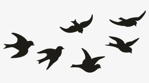 Motif Of Birds, HD Png Download, Transparent PNG