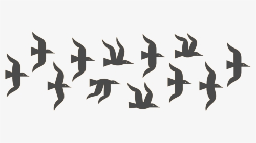 Hero Image - Flock, HD Png Download, Transparent PNG