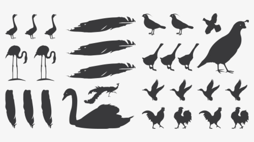 Fowlplay - Silhouette, HD Png Download, Transparent PNG