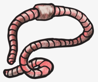 Earthworm - Serpent, HD Png Download, Transparent PNG