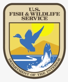 Usfws - Us Endangered Species Act, HD Png Download, Transparent PNG