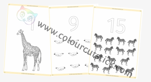 1-20 Count Zoo Animals Colouring Ccs Cover - Giraffe, HD Png Download, Transparent PNG