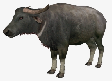 Welcome To Ideas Wiki - Water Buffalo, HD Png Download, Transparent PNG