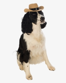 Dog With Cowboy Hat, HD Png Download, Transparent PNG