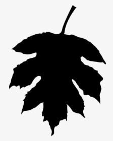 Fall Leaf Silhouette Png, Transparent Png, Transparent PNG