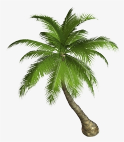 Free High Resolution Graphics And Clip Art - Palm Tree Png Hd, Transparent Png, Transparent PNG
