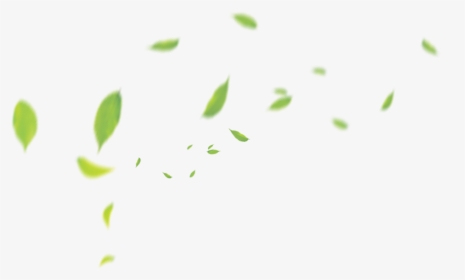 Clip Art Green Pattern Transprent Png - Tea Leaf Floating Png, Transparent Png, Transparent PNG