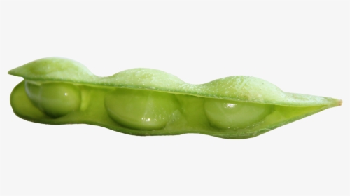 Fresh Soybean Png Image - Soy Bean Green Png, Transparent Png, Transparent PNG