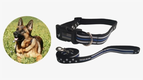 Thin Blue Line/ Police Dog Collar Dog Supplies - Strap, HD Png Download, Transparent PNG