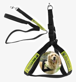 Police Dog Dog Rope, HD Png Download, Transparent PNG