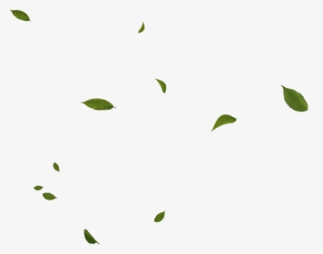 Floating Green Leaves Png , Png Download - Green Effects Png, Transparent Png, Transparent PNG