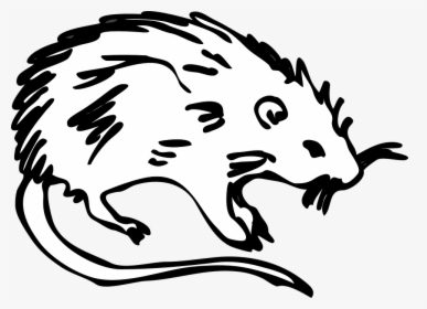 Rat, Animal, Rodent, Mouse, Cute, White, Pest, Tail - Cartoon The Black Death Rats, HD Png Download, Transparent PNG