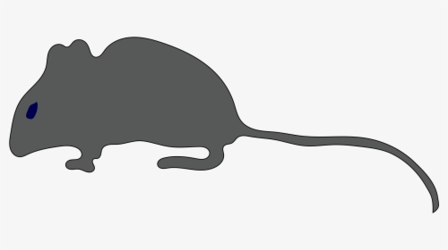 Rat Mouse Silhouette Tail Clip Art - Clip Art, HD Png Download, Transparent PNG