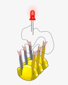 Lemon Battery With Copper Wires, HD Png Download, Transparent PNG