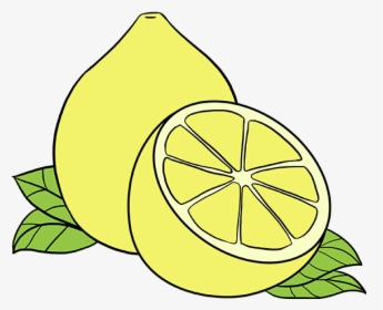 How To Draw Lemon - Drawing Of Lemon, HD Png Download, Transparent PNG