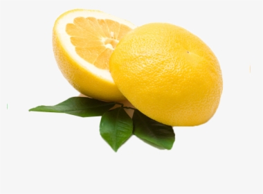 Citrus Lemon Png Photo - Meyer Lemon, Transparent Png, Transparent PNG