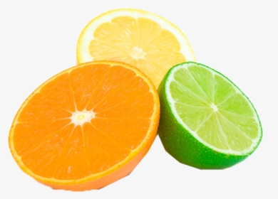 Citrus Lemon Png Image Download - Sweet Lemon, Transparent Png, Transparent PNG