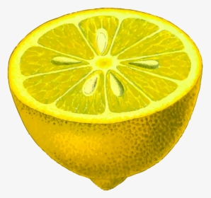 Lemon Half Clipart, HD Png Download, Transparent PNG
