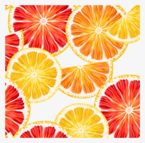 Grapefruit, Lemon Clipart, Orange, Lemon Slice, Vector - Grapefruit Background, HD Png Download, Transparent PNG