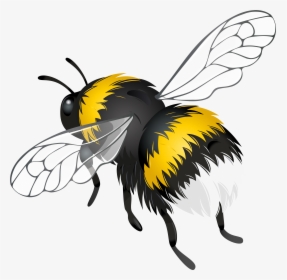 Flying Bee Png Clipart - Clip Art Flying Bee, Transparent Png, Transparent PNG