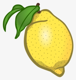 Clipart Lemon Clipart Lemon Coloured Die Besten - Clipart Lemon Png, Transparent Png, Transparent PNG