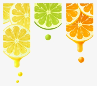 Vector Splashes Lemon - Rangpur, HD Png Download, Transparent PNG