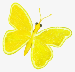 Citrus Fruit Butterfly Clip Arts - Lemon Butterfly, HD Png Download, Transparent PNG