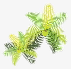 Tropical Leaves With Coconuts - Folhas Tropicais Png, Transparent Png, Transparent PNG