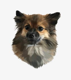 Pomeranian, HD Png Download, Transparent PNG