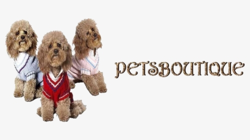 Petsboutique Online Logo - Labradoodle, HD Png Download, Transparent PNG
