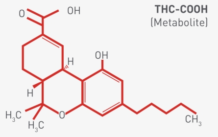 Thc-cooh Marijuana Metabolite - Formula Do Thc, HD Png Download, Transparent PNG