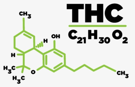 Molecule For Thc, HD Png Download, Transparent PNG