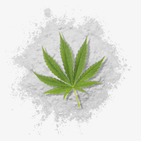Water Soluble Thc Powder With Cannabis Leaf - Illustration, HD Png Download, Transparent PNG