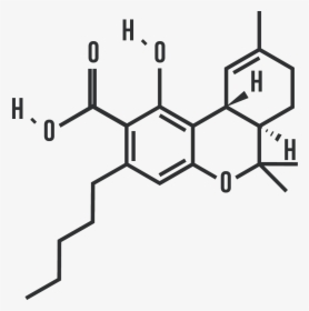 Benzo A Pyrene, HD Png Download, Transparent PNG
