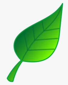Cartoon Leaves Clip Art - Green Leaf Clip Art, HD Png Download, Transparent PNG