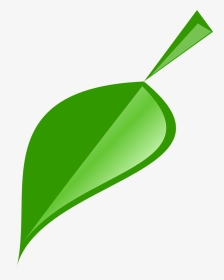 Leaf, Green, Nature, Plant, Natural, Spring - รูป ใบไม้ สวย ๆ Png, Transparent Png, Transparent PNG