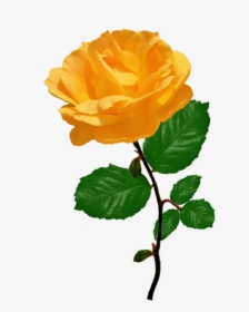 Orange Rose Clipart With Leaves - Stalk Of Roses Yellow, HD Png Download, Transparent PNG