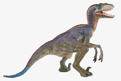 Dinosaur Png Free Images - Velociraptor Dinosaurs, Transparent Png, Transparent PNG