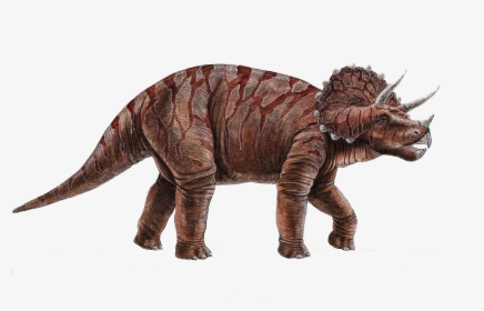 Dinosaur Png - Triceratops Png, Transparent Png, Transparent PNG