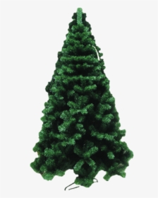 Trj8foe - Christmas Tree, HD Png Download, Transparent PNG